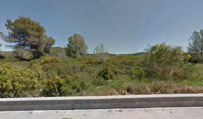 Rodamientos y Productos Especiales S.A.