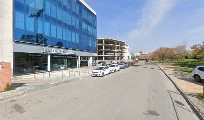 Grupo MasterServide