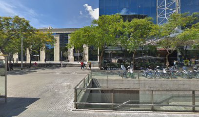 Orangefield Barcelona