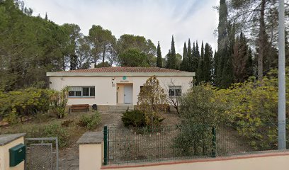 Servei d'Anàlisi Arqueològiques