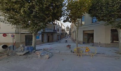 Dispunt Catalunya