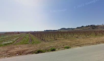 Urbanització Graó Parc