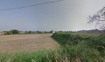 Torre del Botes