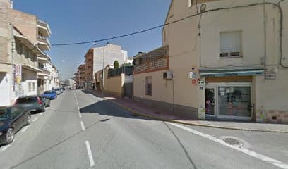 VIVERS CAL CORONA DE BARBENS SL