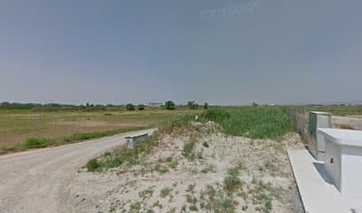 Albert rubio os de balaguer guissona