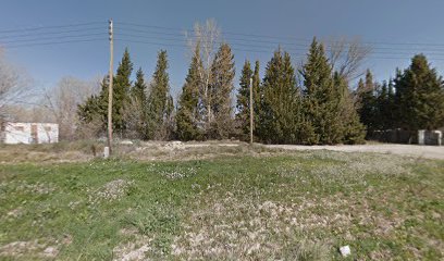 Bassa dels xops de Pla de Lleida
