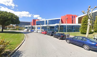 Aviation Island