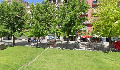 Asociación Amics De La Seu Vella De Lleida