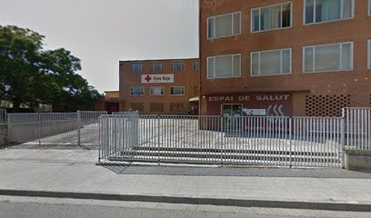 Federació Catalana de Voluntariat Social a Lleida