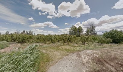 Molí del Sastre