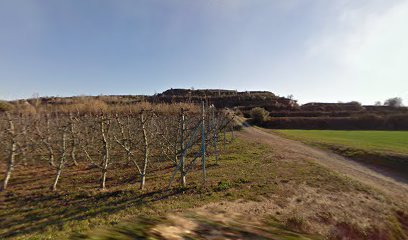 Castell de Vinferri