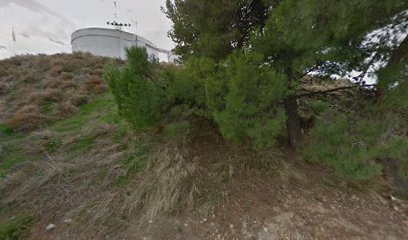 Castell de Sunyer