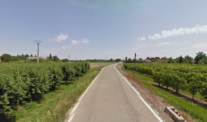 C Public Edu C Justicia El Segre