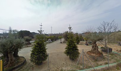 Projardi S L