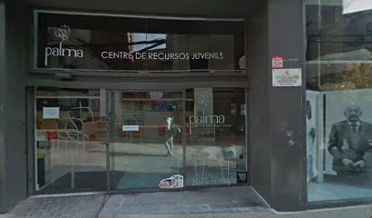 Consell Local de la Joventut de Lleida (CLJL)