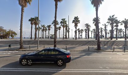 Cinema Lliure a la Platja