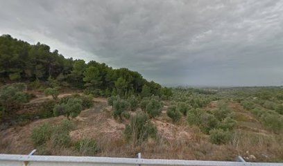 Bosque Linea