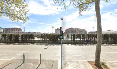 skatebdn