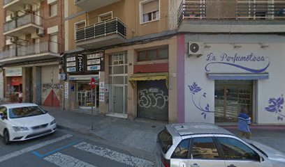 Mercedes Codesal Puy