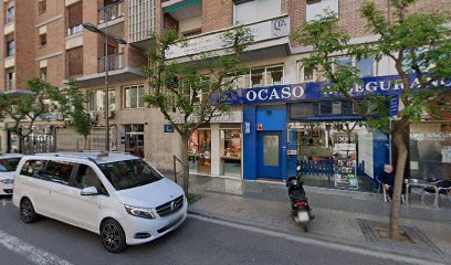 Carmen Farreny Vilamajó