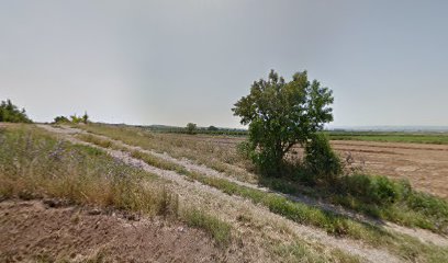 Barranc j