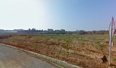 Raesgra, S.L. &amp; Biojuneda, S.L.