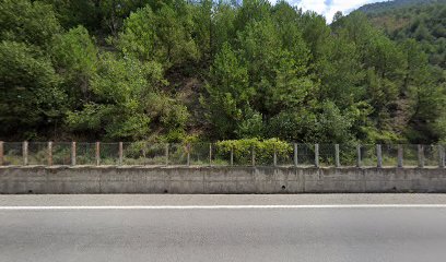 ÀRIDS ALT URGELL, S.L.