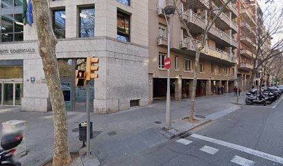 IMMOSCÒPIA Formació
