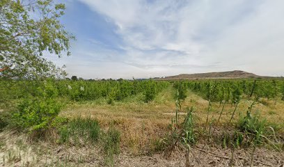 Vaco Ganados S.L.