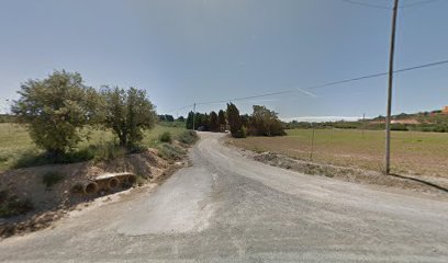 Can Gessé, estudio de diseño y estilismo floral.