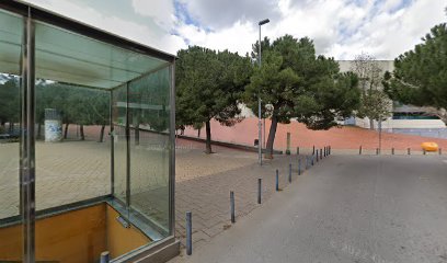 Lago parque central