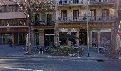Carme Tulon Arfelis