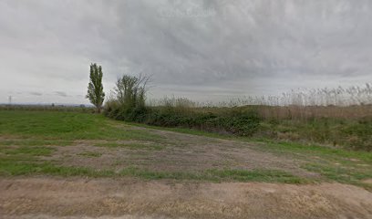 Matadero Alcoletge